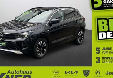 Opel Grandland (X) 64.411 km 19.490 &euro; Hof 95032