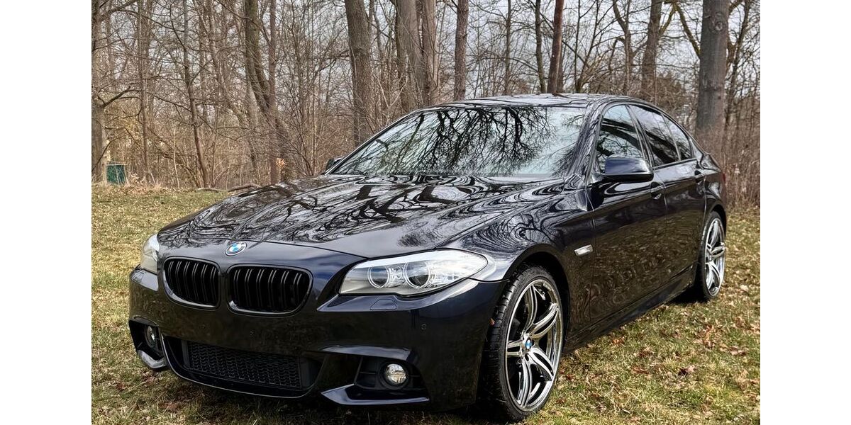 BMW 528 119.800 km 15.200 &euro; Hof 95028