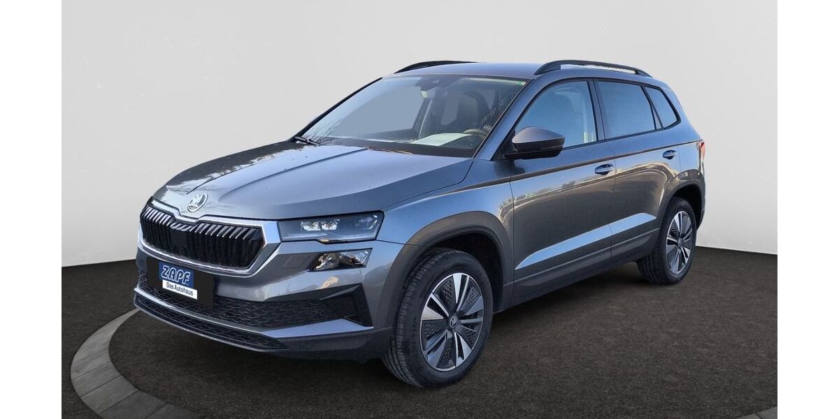 Skoda Karoq 4.500 km 35.990 &euro; Hof 95032