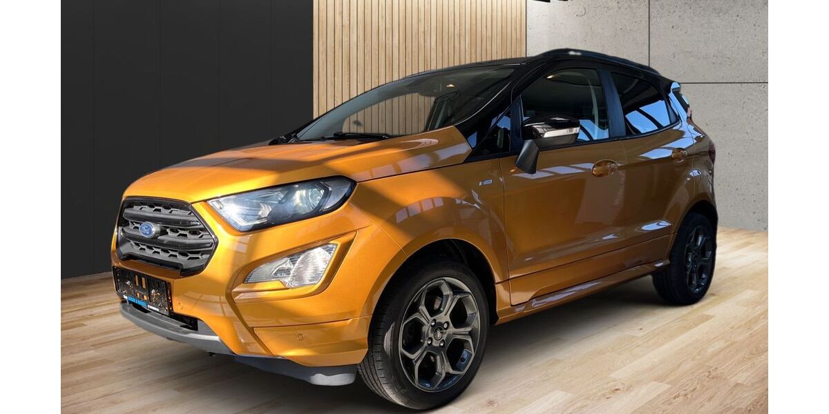 Ford EcoSport 123.000 km 8.990 &euro; Trieb 08239