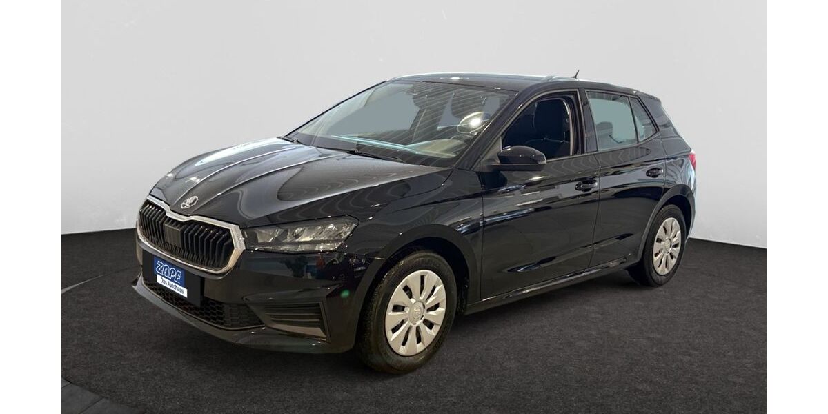 Skoda Fabia 73.600 km 12.590 &euro; Hof 95032