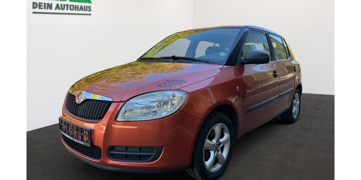 Skoda Fabia 95.159 km 5.550 &euro; Neumark OT Schönbach 08496