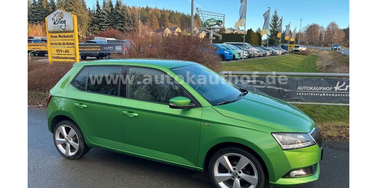 Skoda Fabia 42.000 km 14.795 &euro; Neuensalz - Mechelgrün 08541