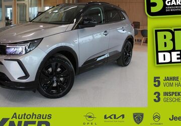 Opel Grandland (X) 61.786 km 19.590 &euro; Hof 95032