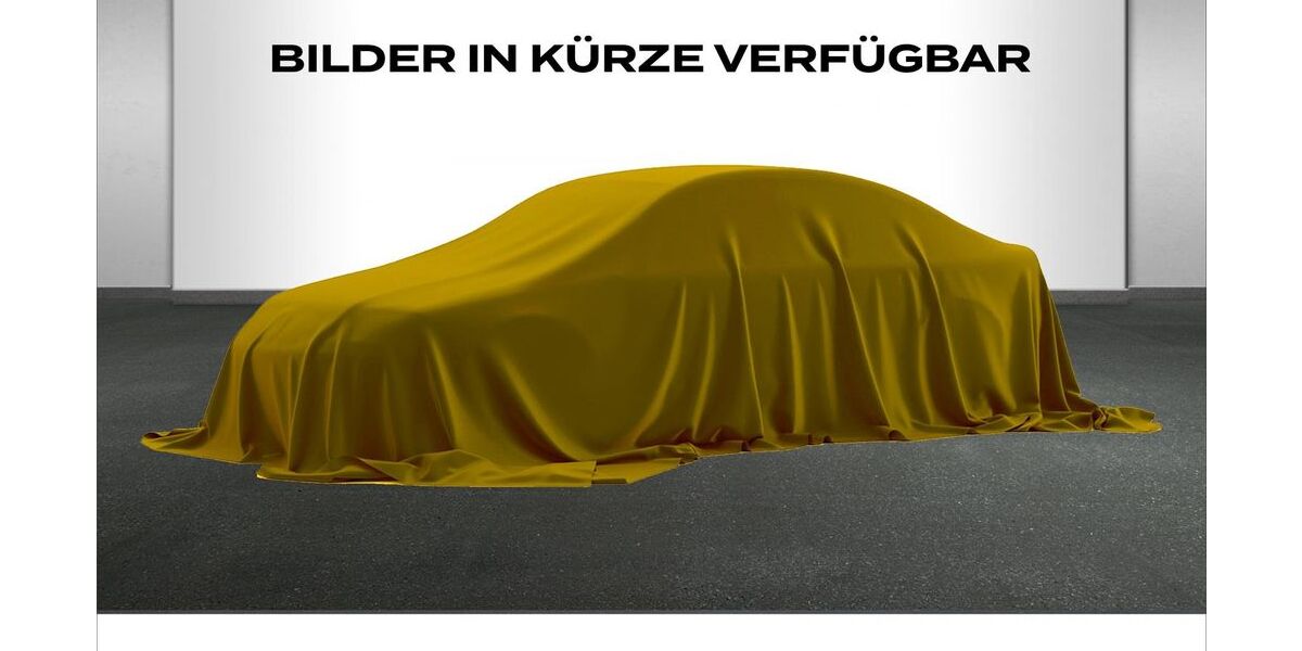 Seat Ibiza 19.450 km 17.890 &euro; Hof 95030