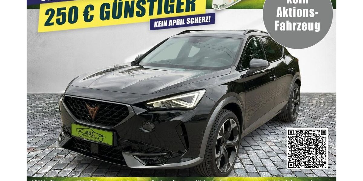 Cupra Formentor 38.700 km 29.990 &euro; Hof 95032