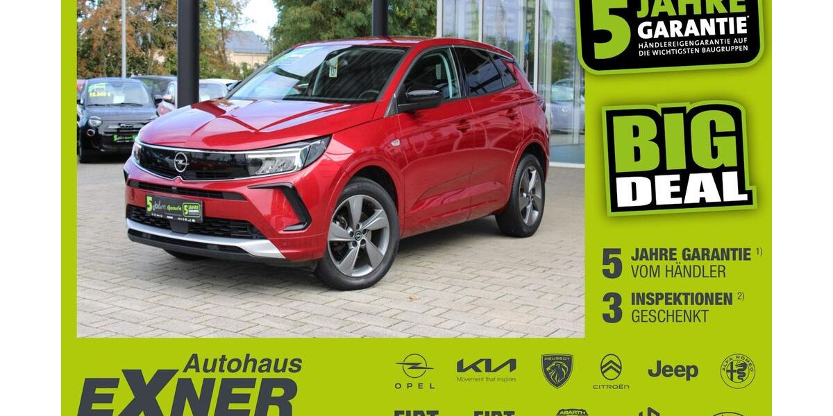 Opel Grandland (X) 73.825 km 16.690 &euro; Hof 95032