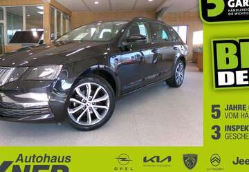 Skoda Octavia 109.224 km 13.850 &euro; Hof 95032